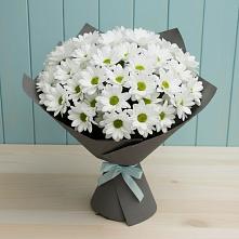 Букет цветов из:  Хризантемы #REPLACE_PRED# Верхнем Тагиле