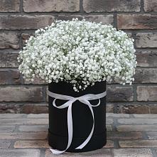Цветочная композиция из Гипсофила в шляпной коробке #REPLACE_PRED# Верхнем Тагиле