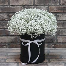 Цветочная композиция из Гипсофила в шляпной коробке в Верхнем Тагиле