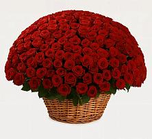 Премиум букет из: Розы в Верхнем Тагиле